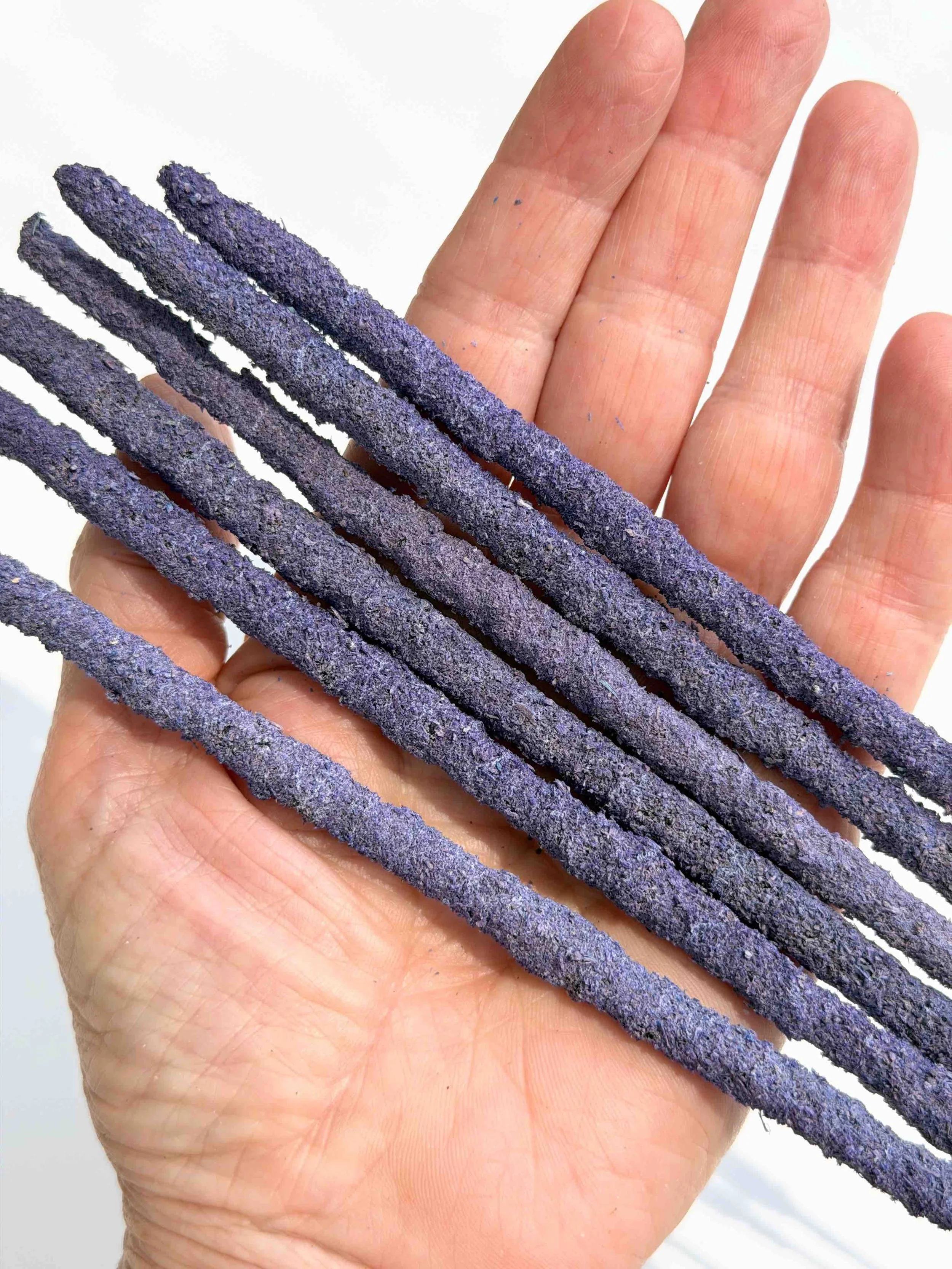 LAVENDER IN HAND.jpeg