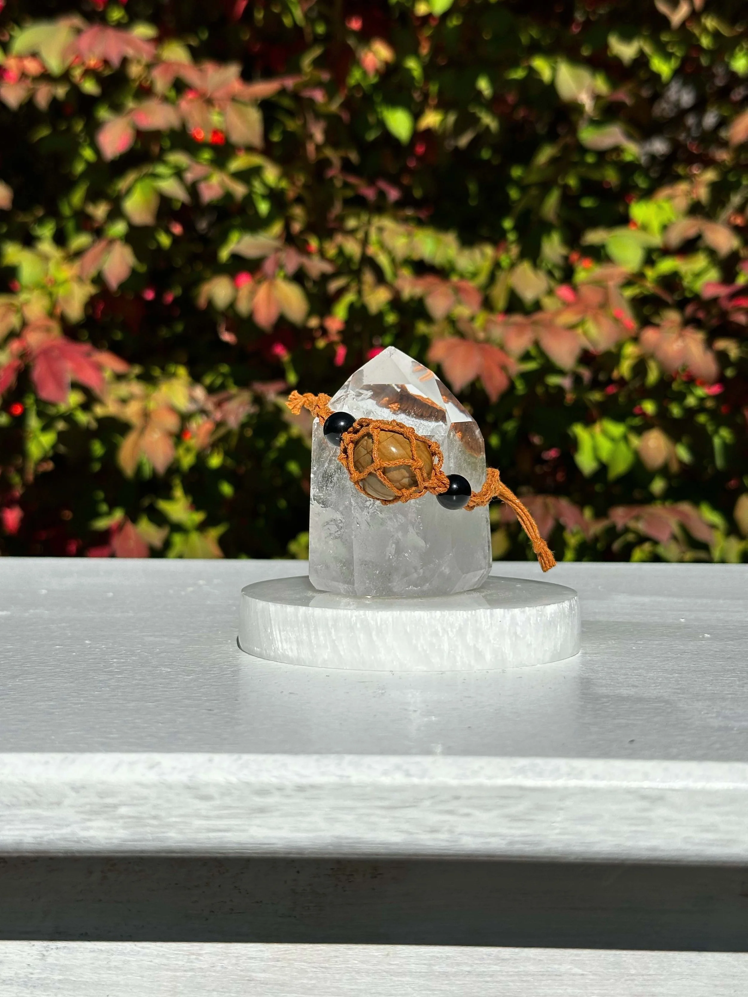 PETRIFIED WOOD E.jpeg