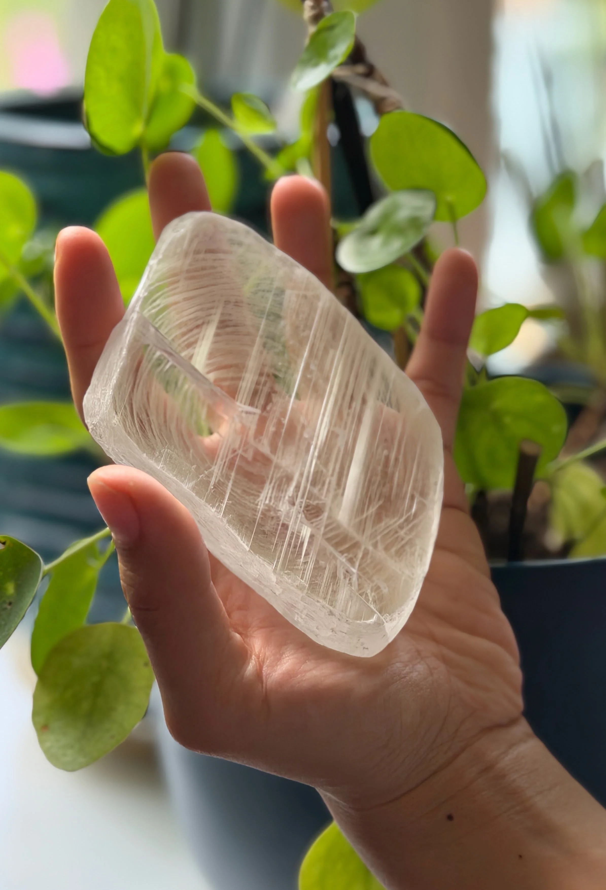 SELENITE FINGERPRINT IN HAND 7.jpeg