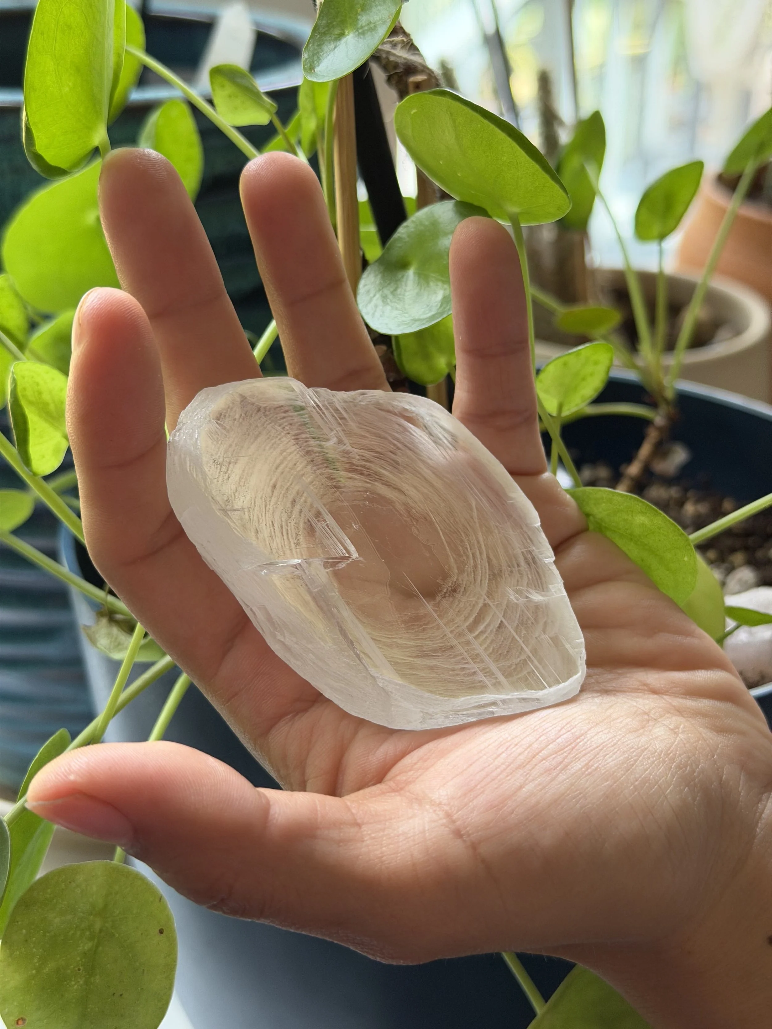 SELENITE FINGERPRINT IN HAND 33.jpeg