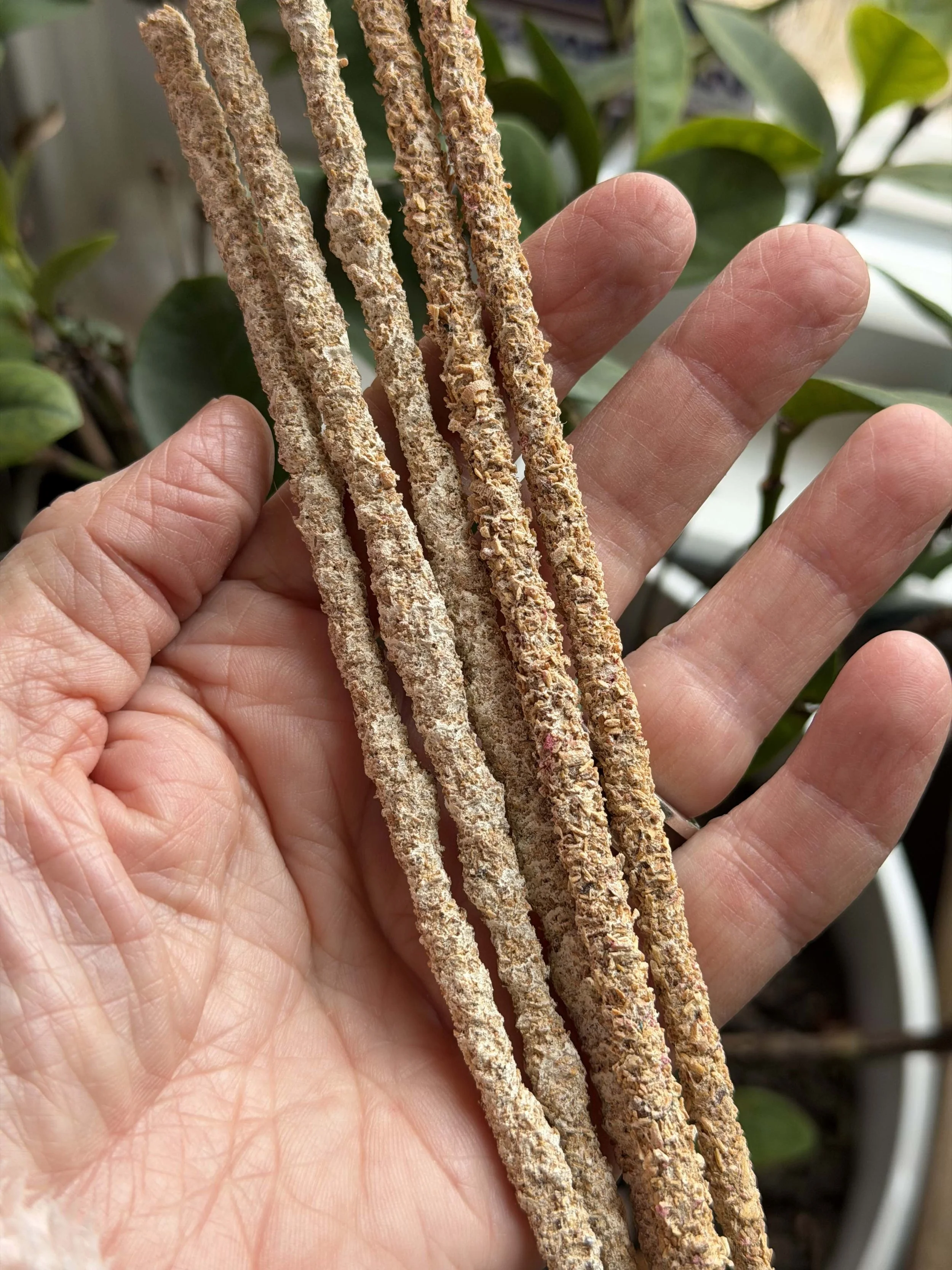 Artisan Sacred Mayan Copal & Palo Santo Incense Sticks