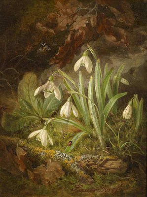 forest-floor-with-snowdrops-josef-lauer.jpeg