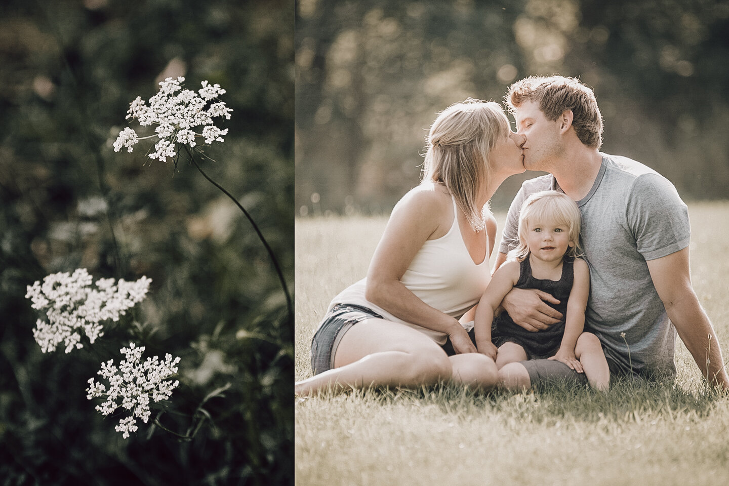 summer family photo with queen annes lace.jpg