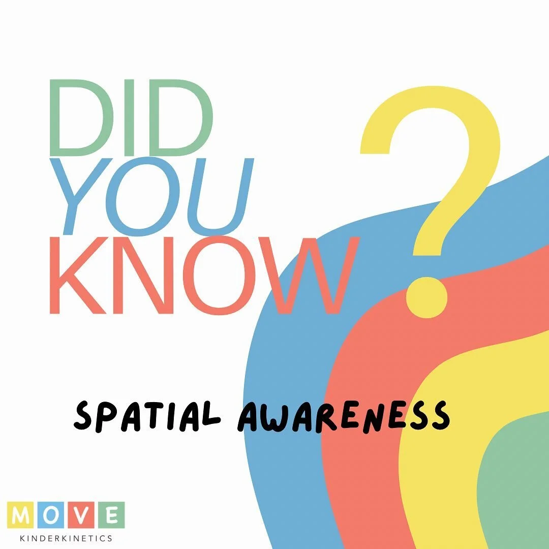 WHAT IS SPATIAL AWARENESS?

Spatial awareness refers to being aware of your position in space relative to your surroundings, as well as being aware of what and where your surroundings are. 

It is important to talk to children about the size, locatio