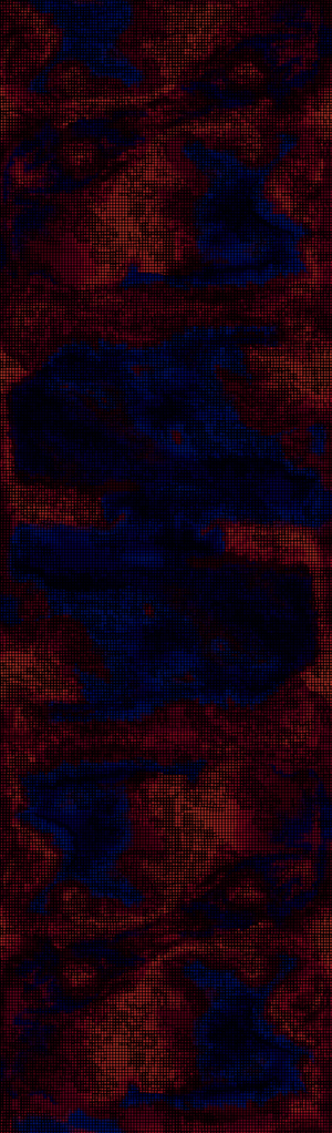 NXI029566-1