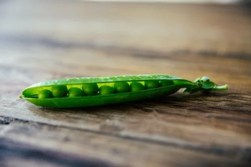 “How luscious lies the pea within the pod.” – Emily Dickenson