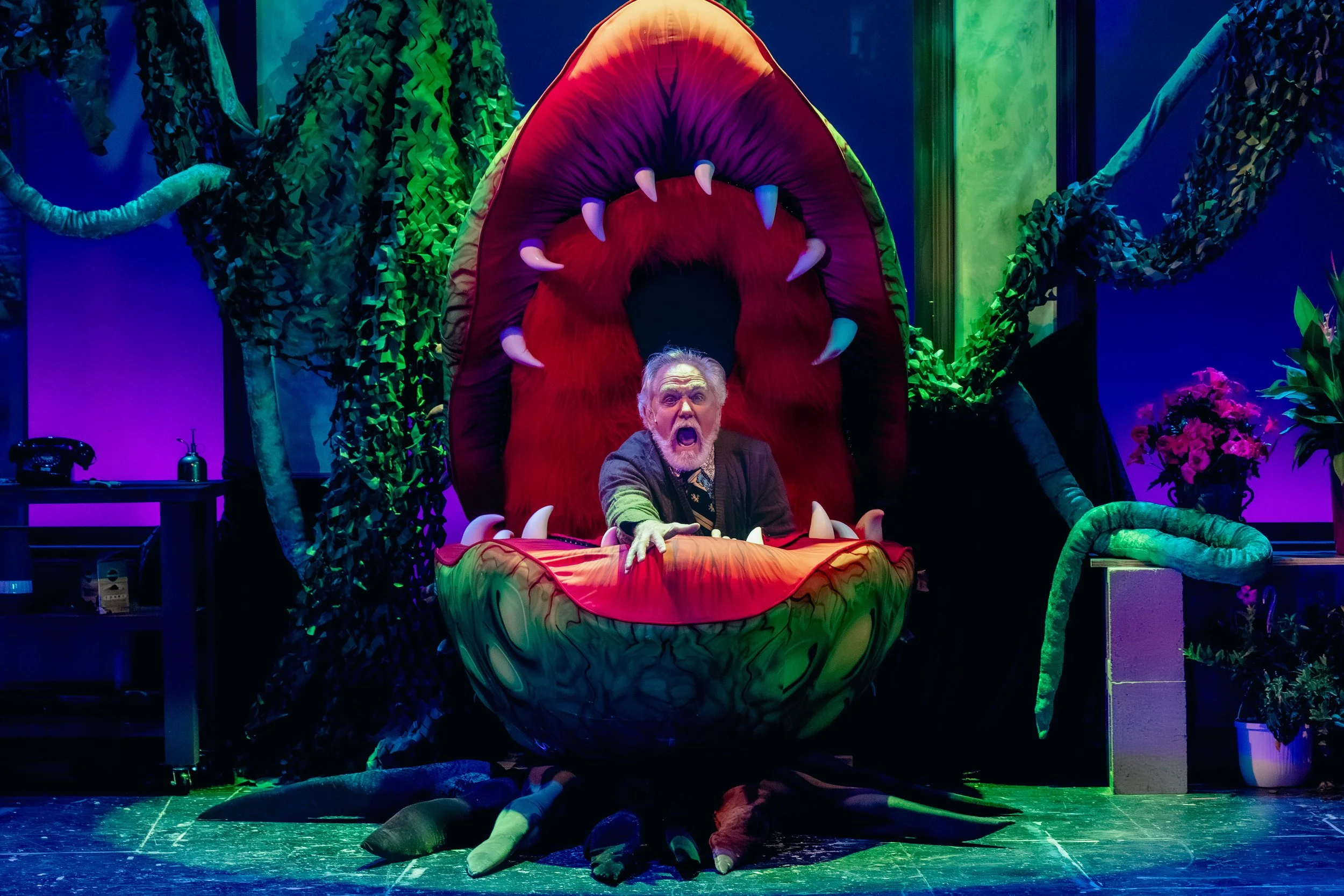 S98-Little-Shop-Final-397 - Copy.jpg