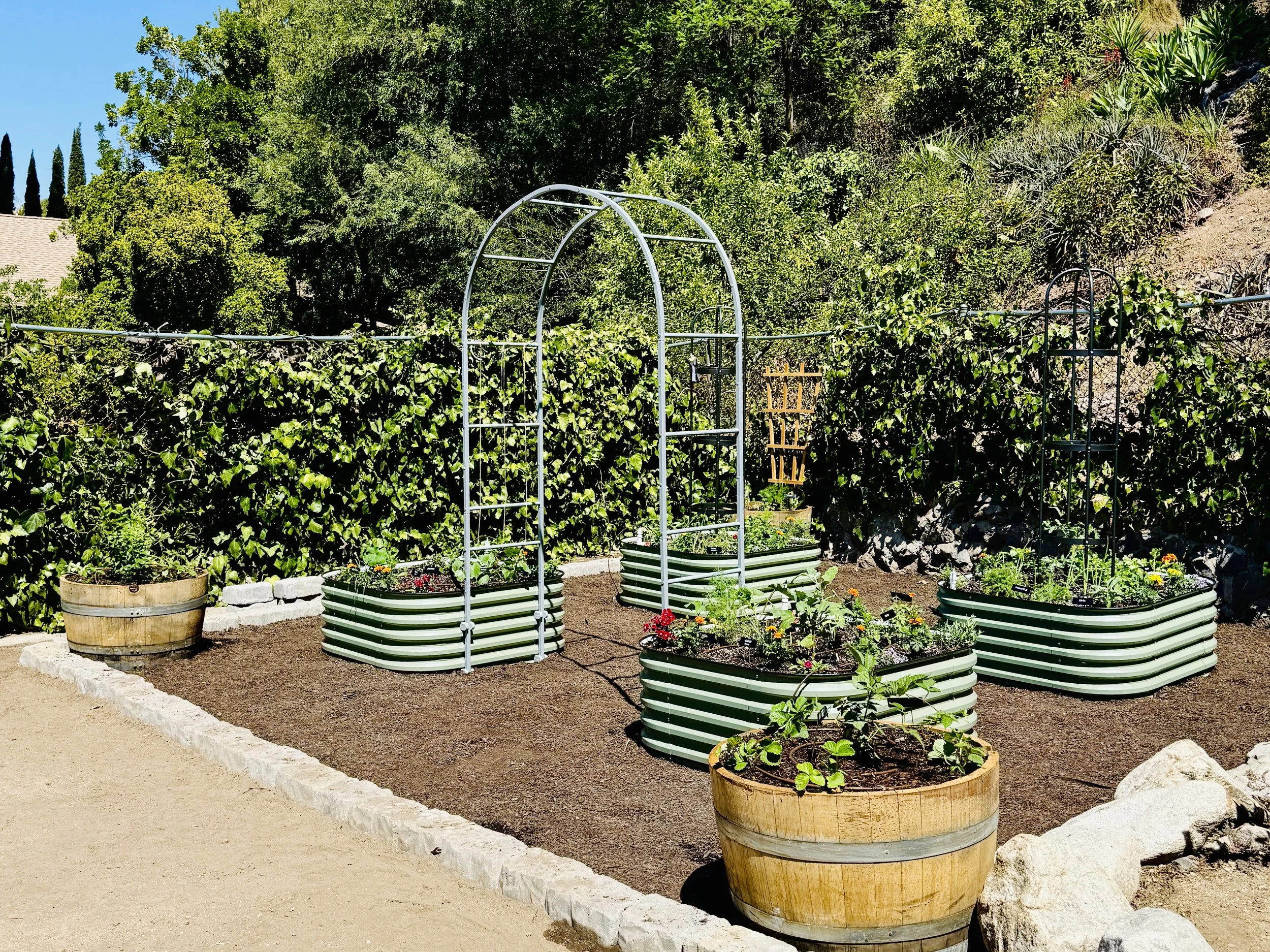 Organic vegetable and fruit garden in Tujunga, CA