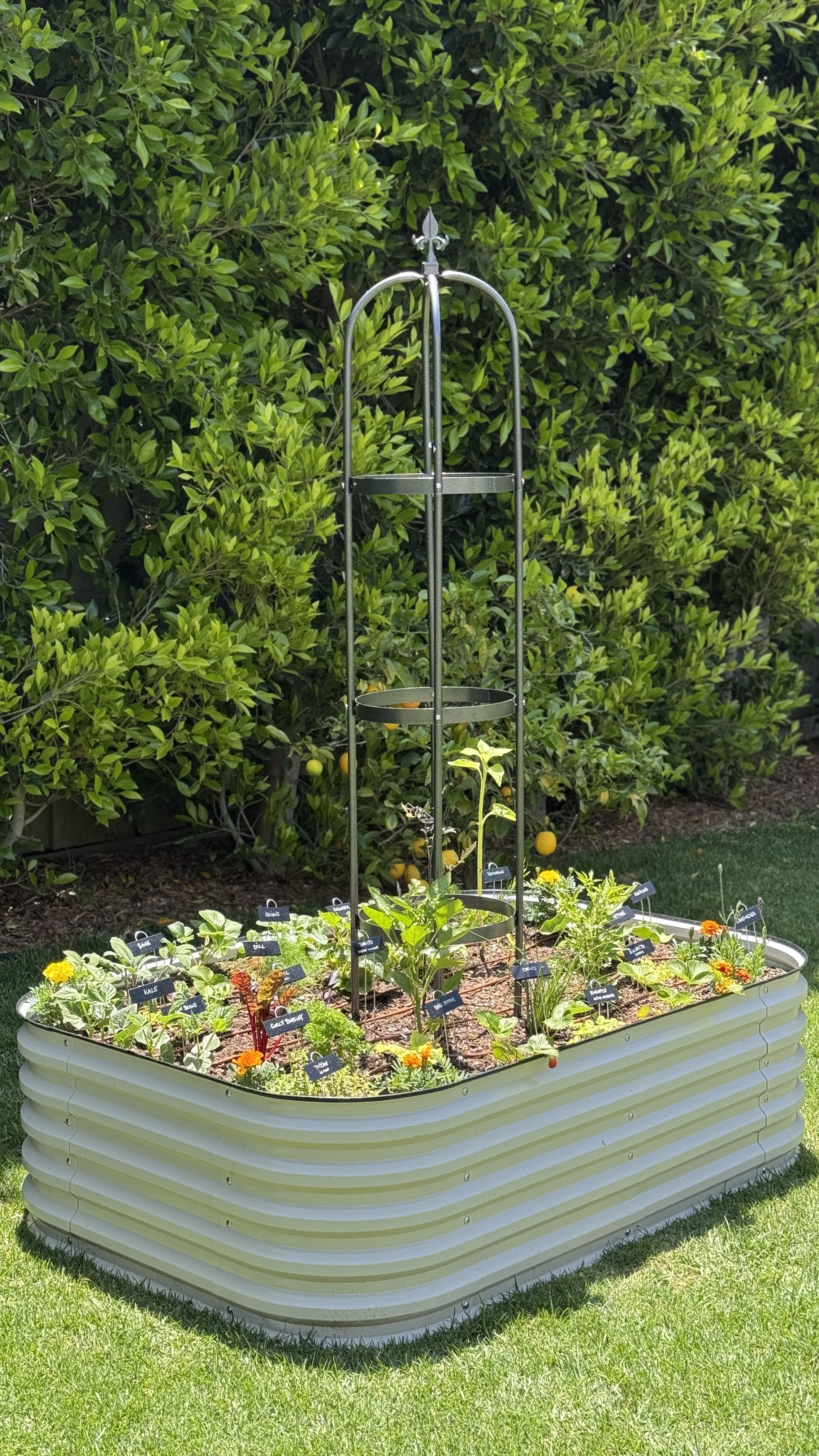 blissful growing organic garden pacific palisades brentwood