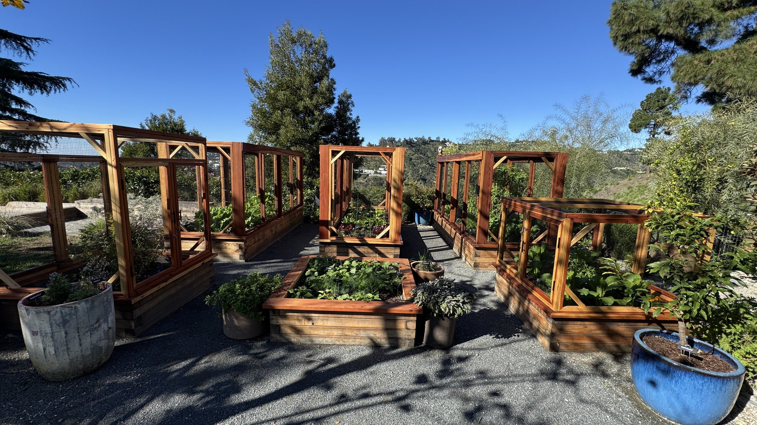 covered raised bed vegetable garden in beverly hills