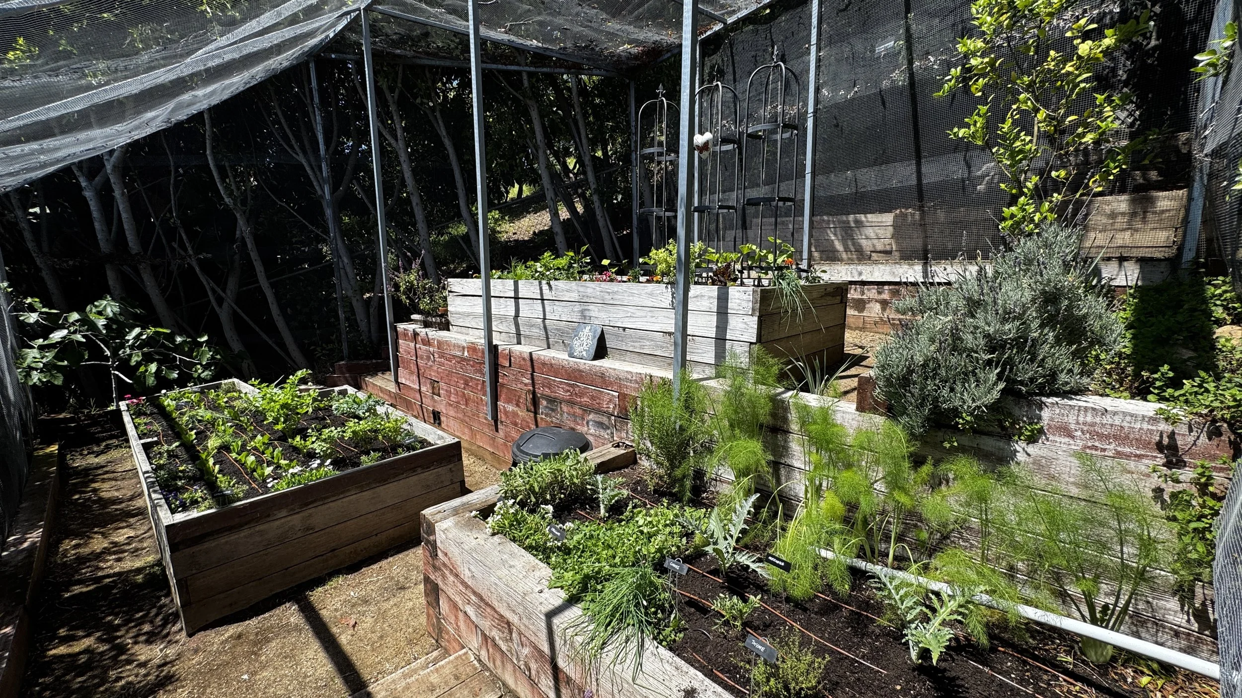 SPRING 2026 PLANTING