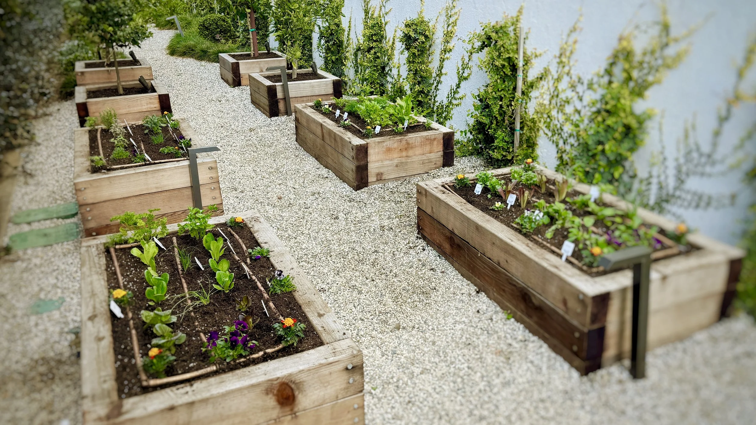 A residential beach front community garden in Santa Monica CA