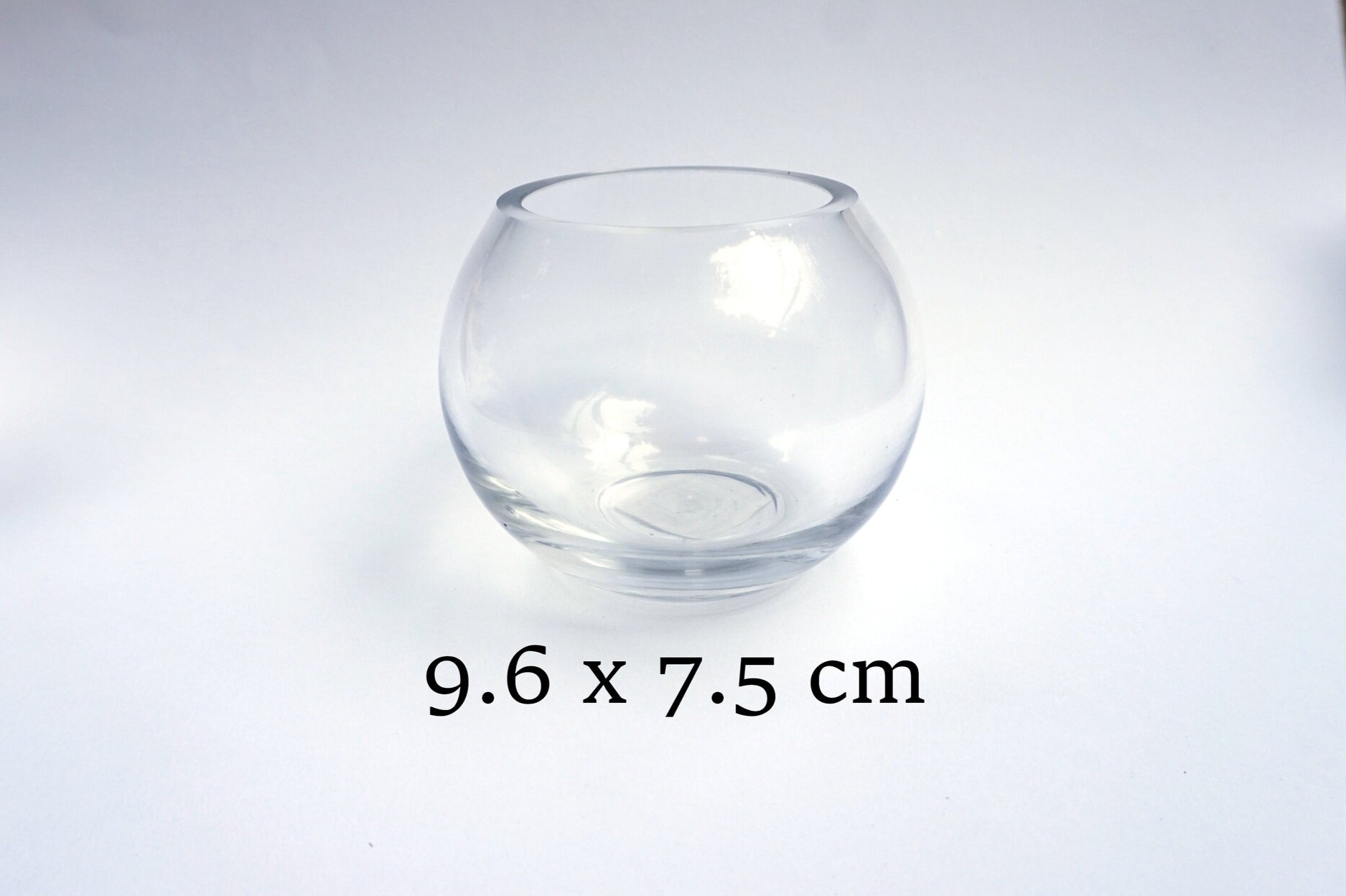 FISH+BOWL+-+Copy.jpg