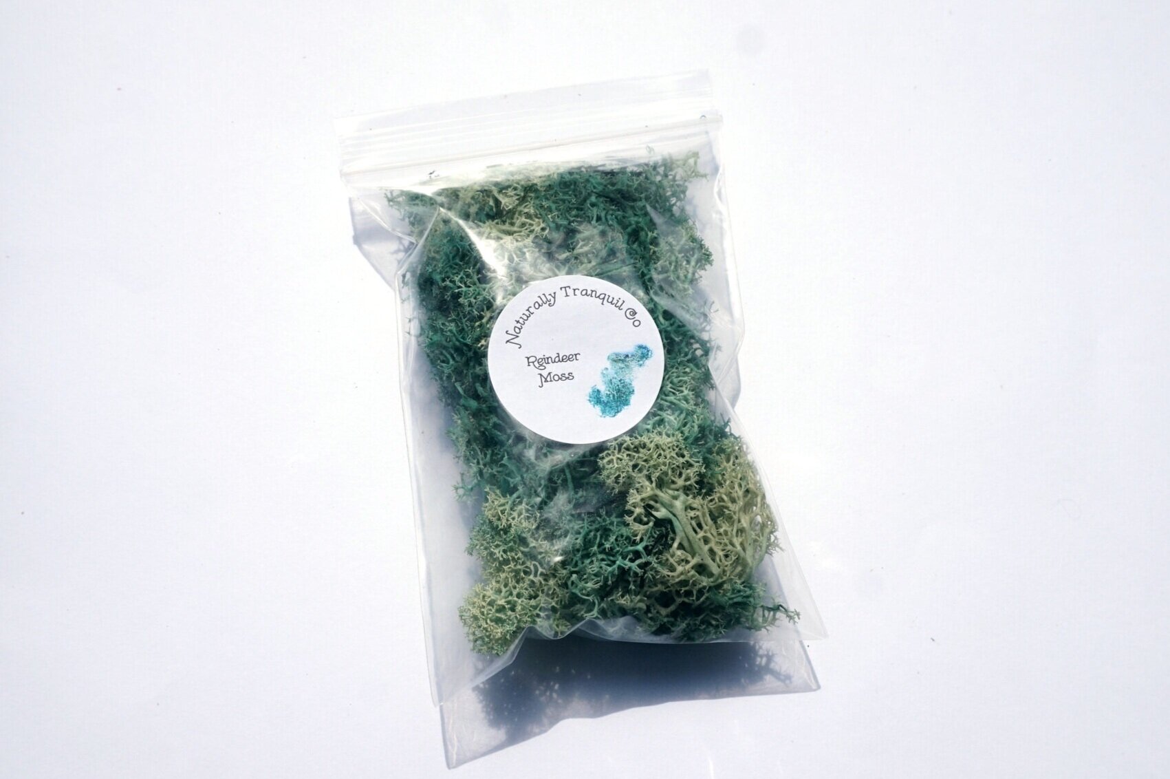 REINDEER+MOSS+SAGE+2.jpg