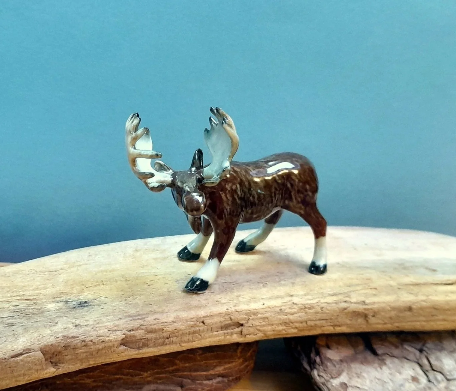20251115_145306.jpg