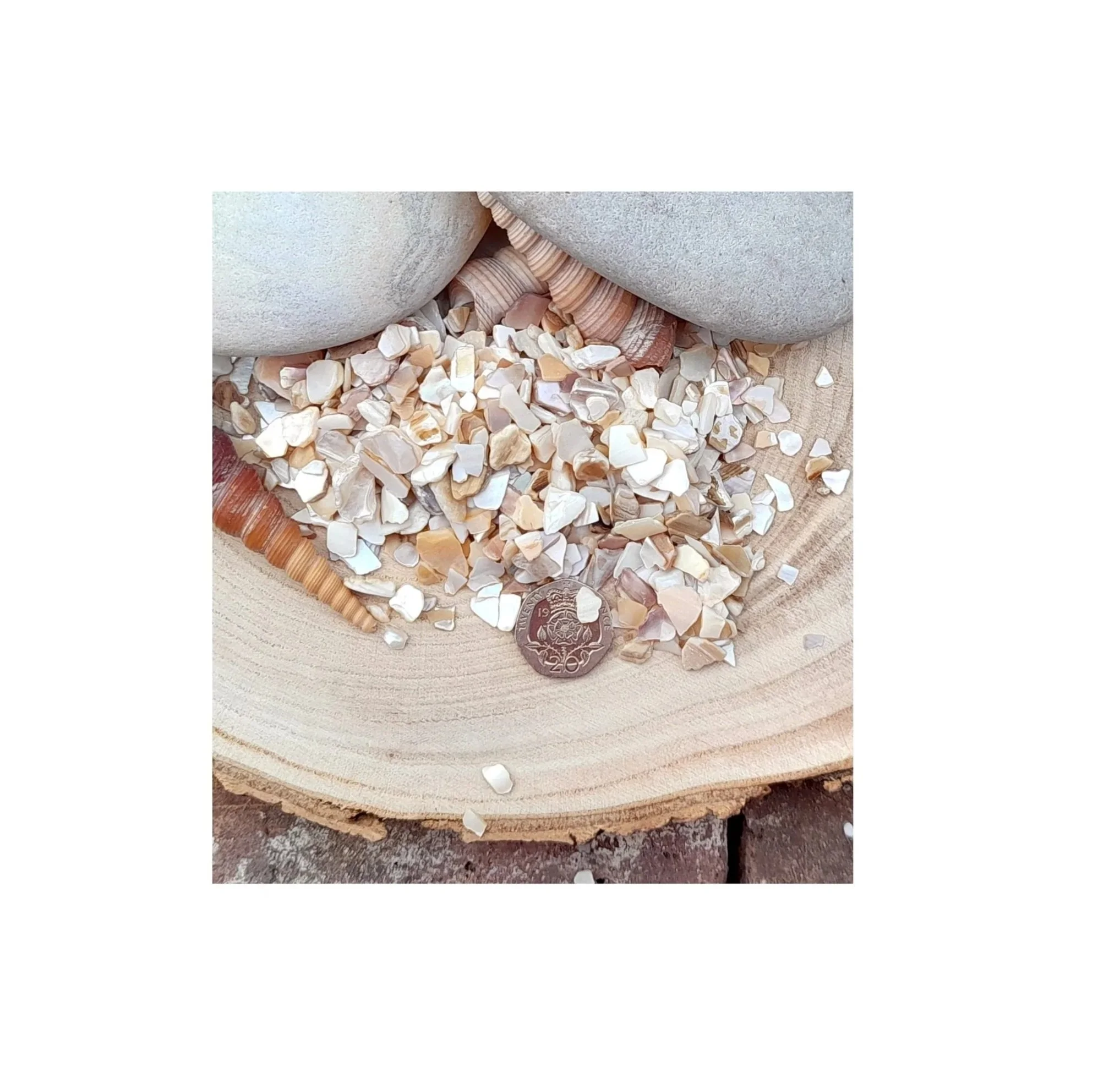 Crushed Pearl Sea Shell.