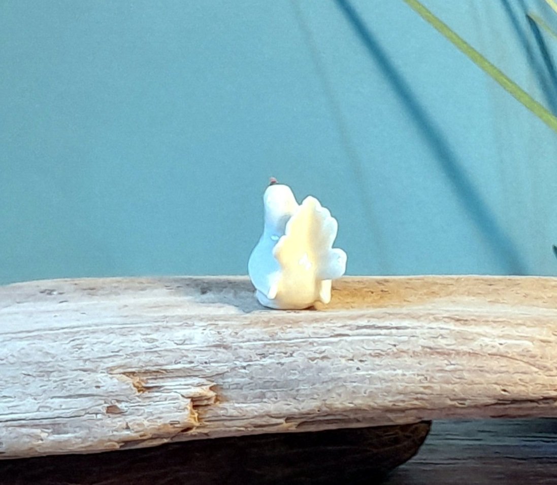 20241019_144445.jpg
