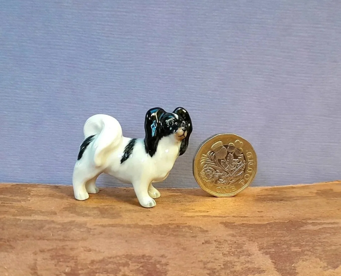 20251024_173830.jpg