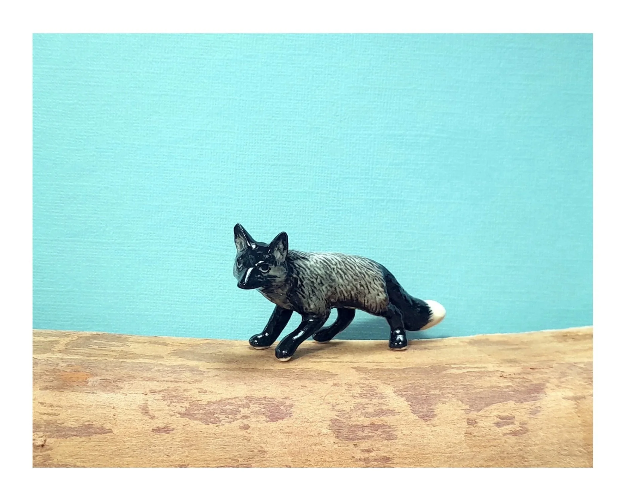 Black Miniature Fox