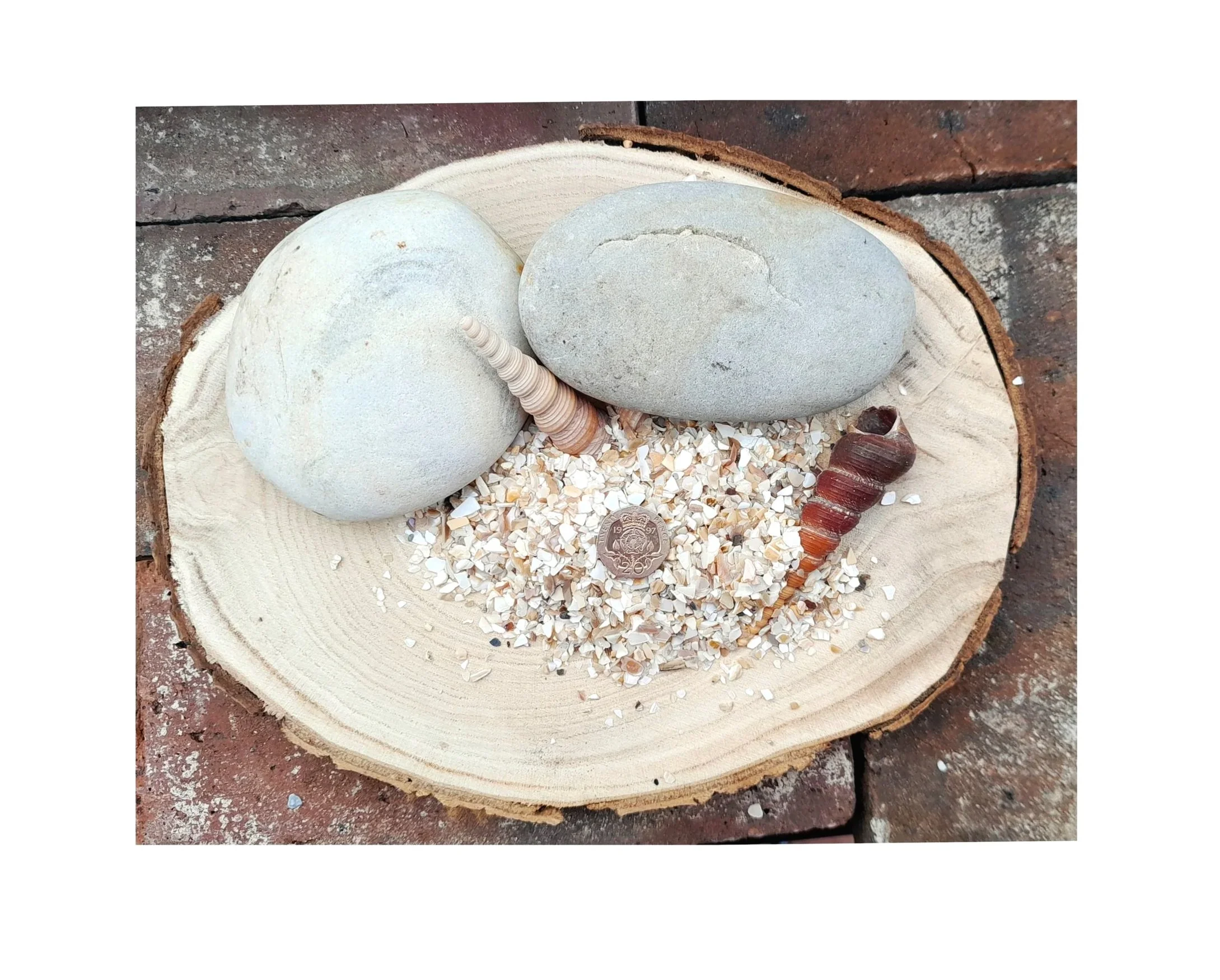 Crushed Pearl Sea Shell.