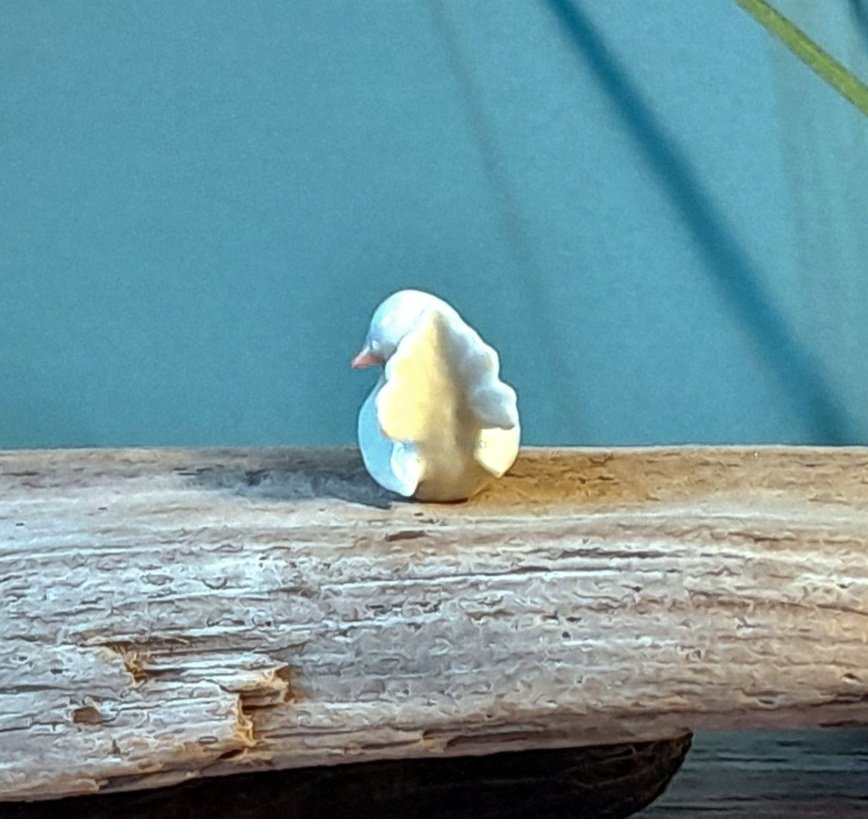 20241019_144639.jpg