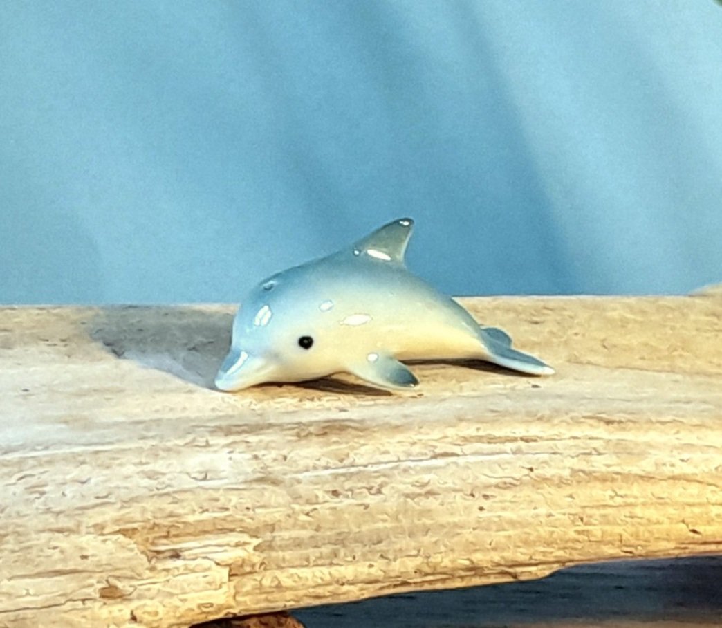 20241020_140916.jpg