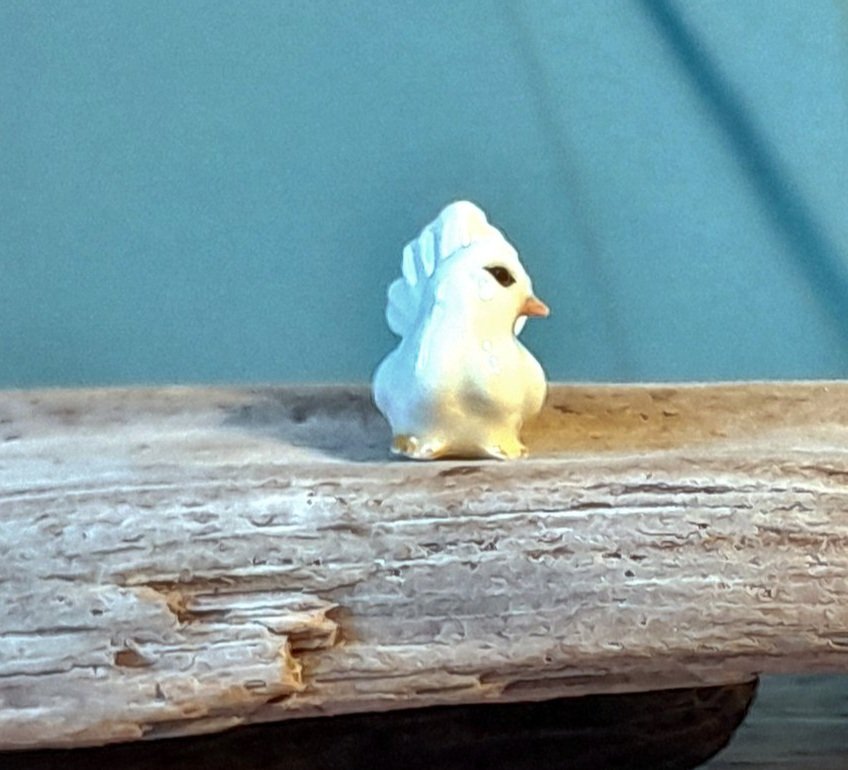 20241019_144619.jpg