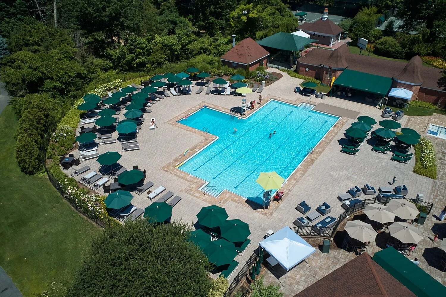 Amenities (Dining and Swimming Pool) — Pine Hollow