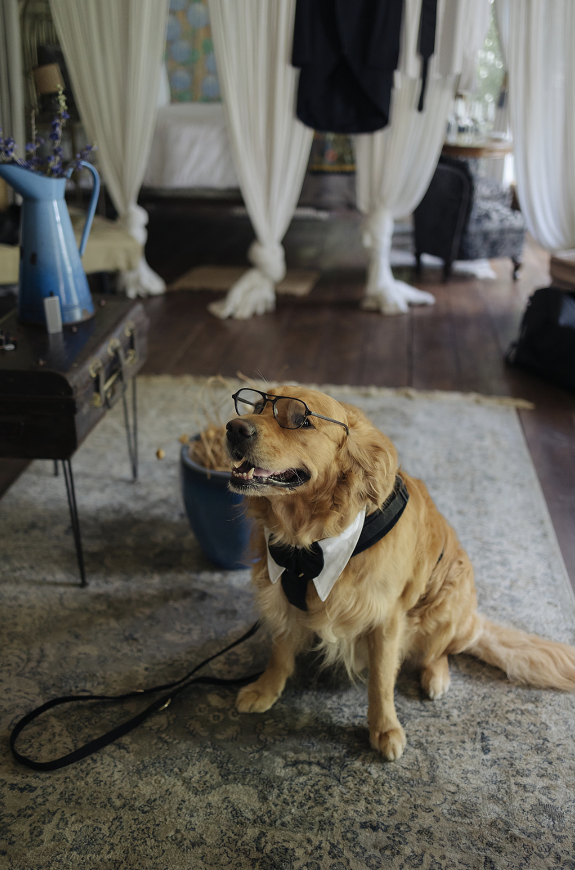 Screenshot 2026-03-11 alle 09.38.07.png