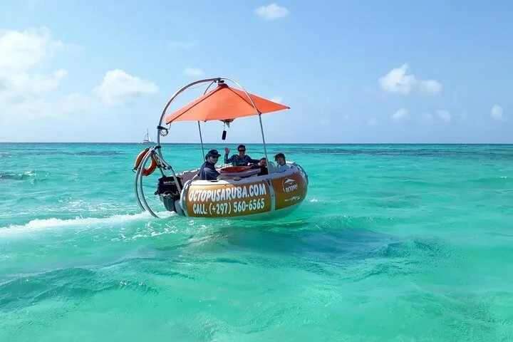 octopusaruba.jpeg