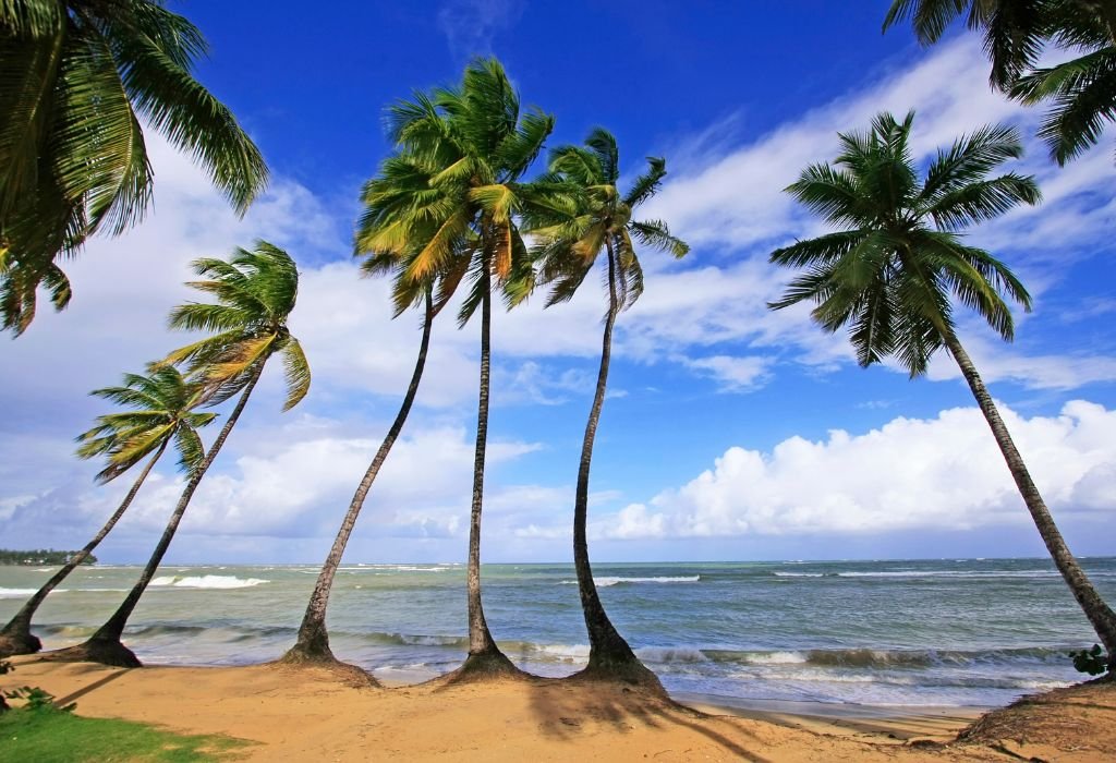 Las Terrenas-beach.jpg