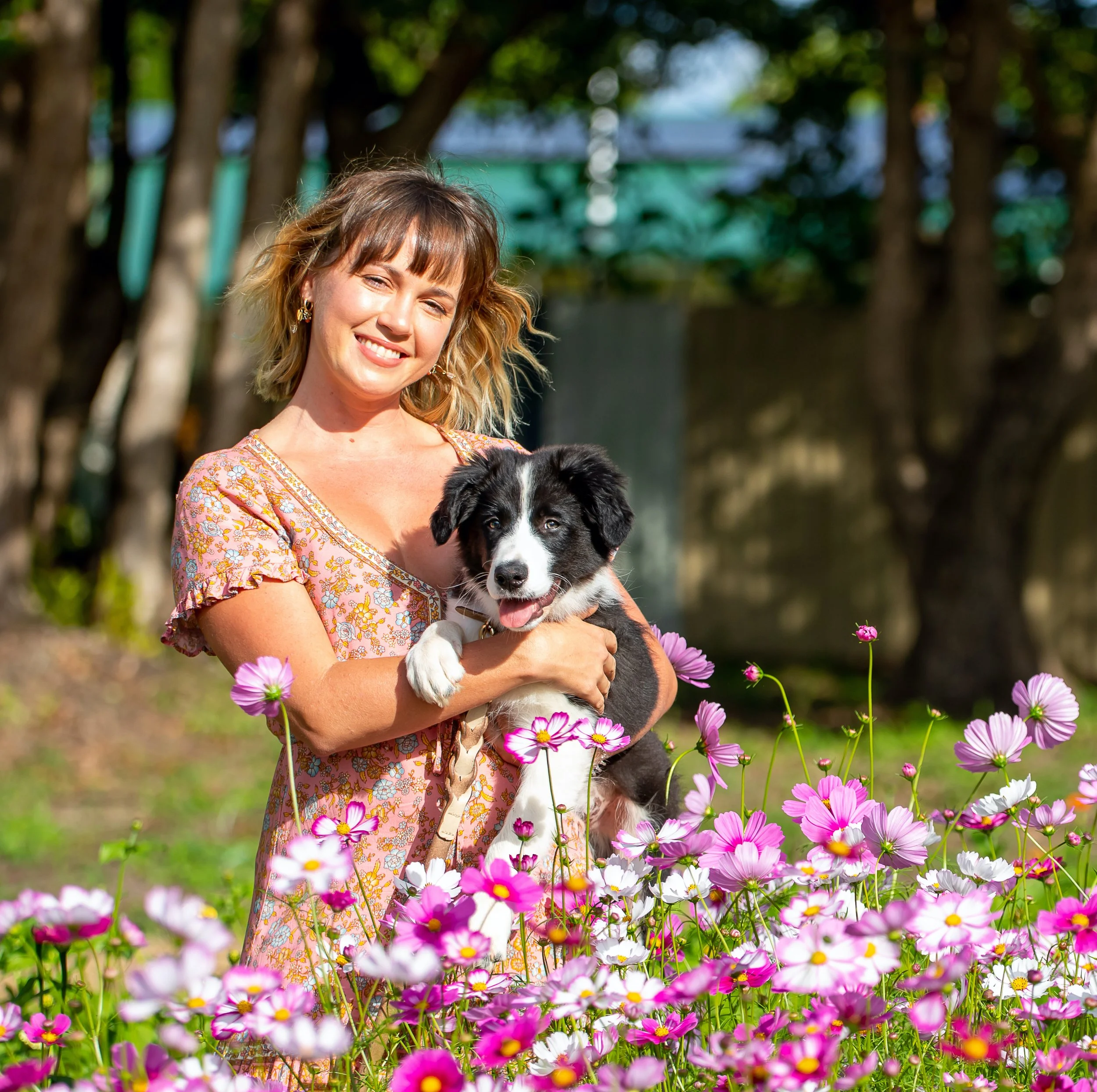 Petal Head Farm & Florist Gympie media links, blogs and articles