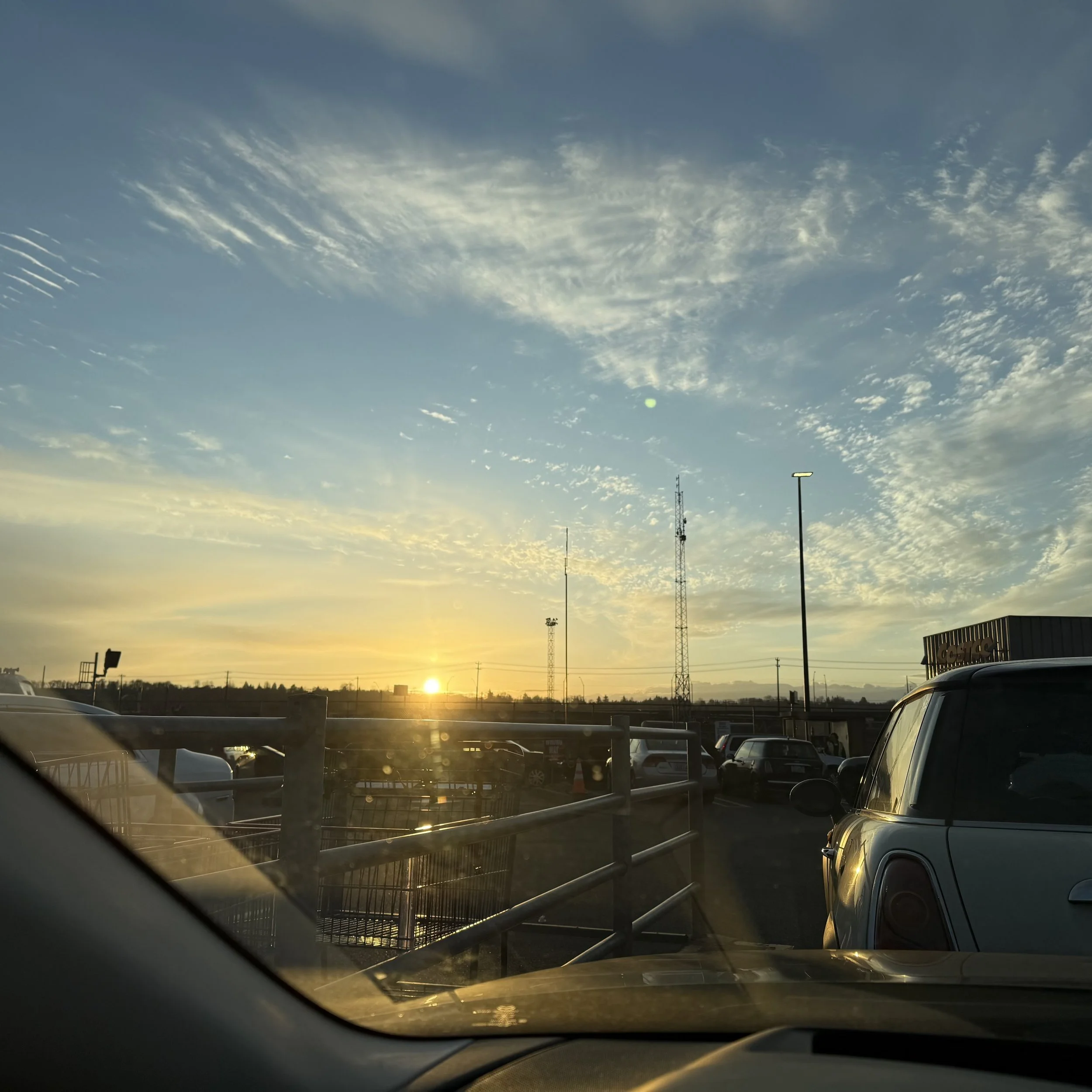 Feb 2026 // False Spring