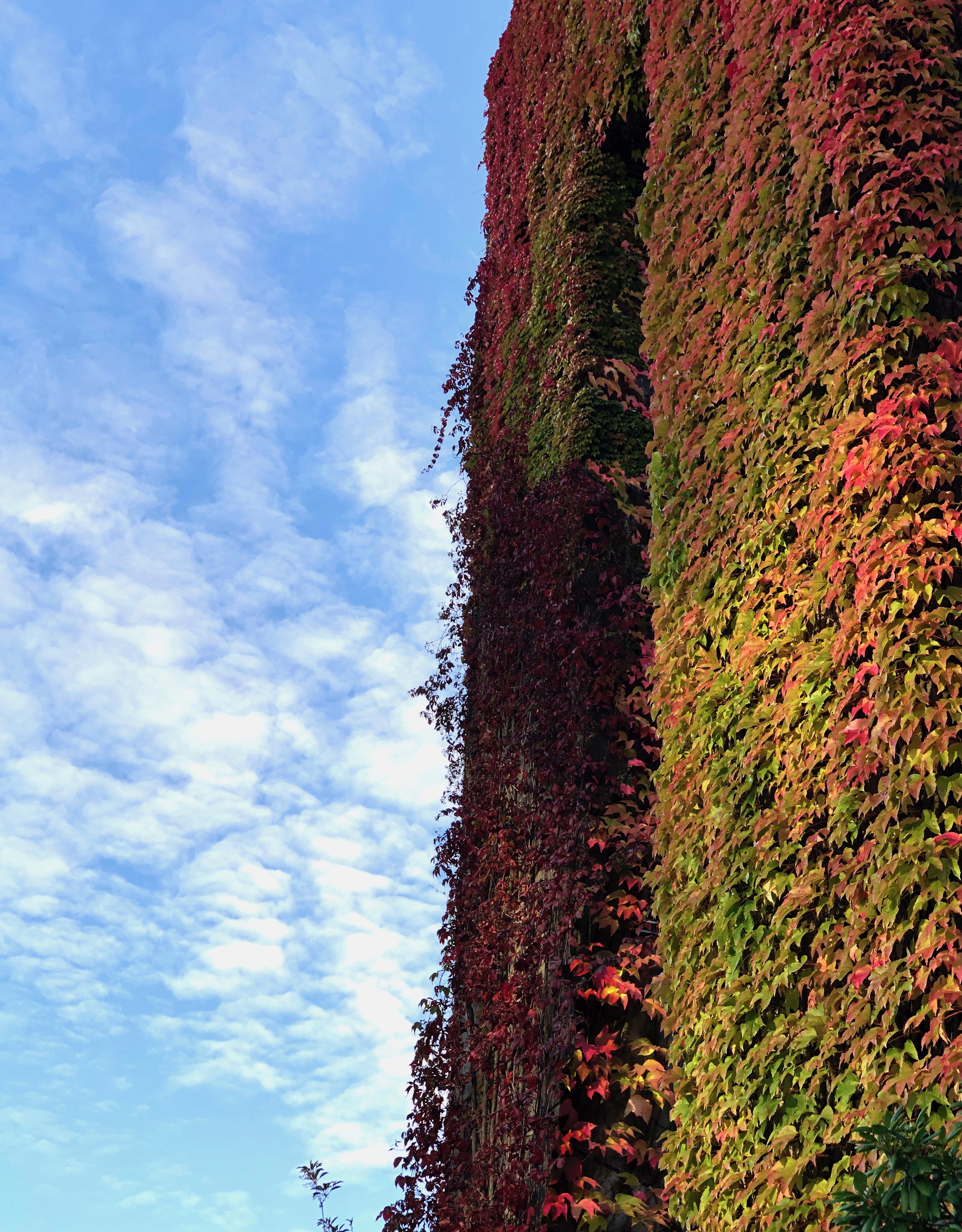 RECLAMATION 1 - OCTOBER 2019