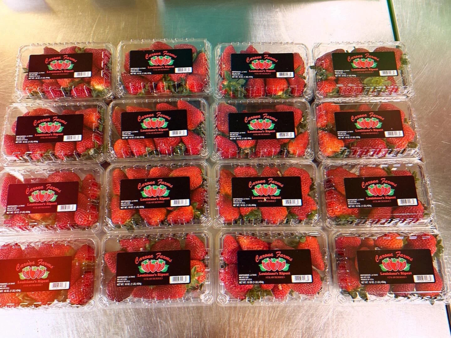 Strawberries 🍓 
From Louisiana 🍓