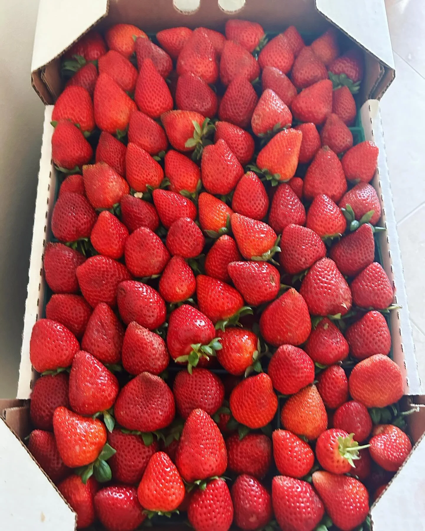 Weekend 1 of Jazzfest 2024 was absolutely amazing. Thank you to all of my friends and family for the support and a very special thank you to everyone who stopped by and bought a Firefly pop. I will be back Friday, Saturday &amp; Sunday so please come