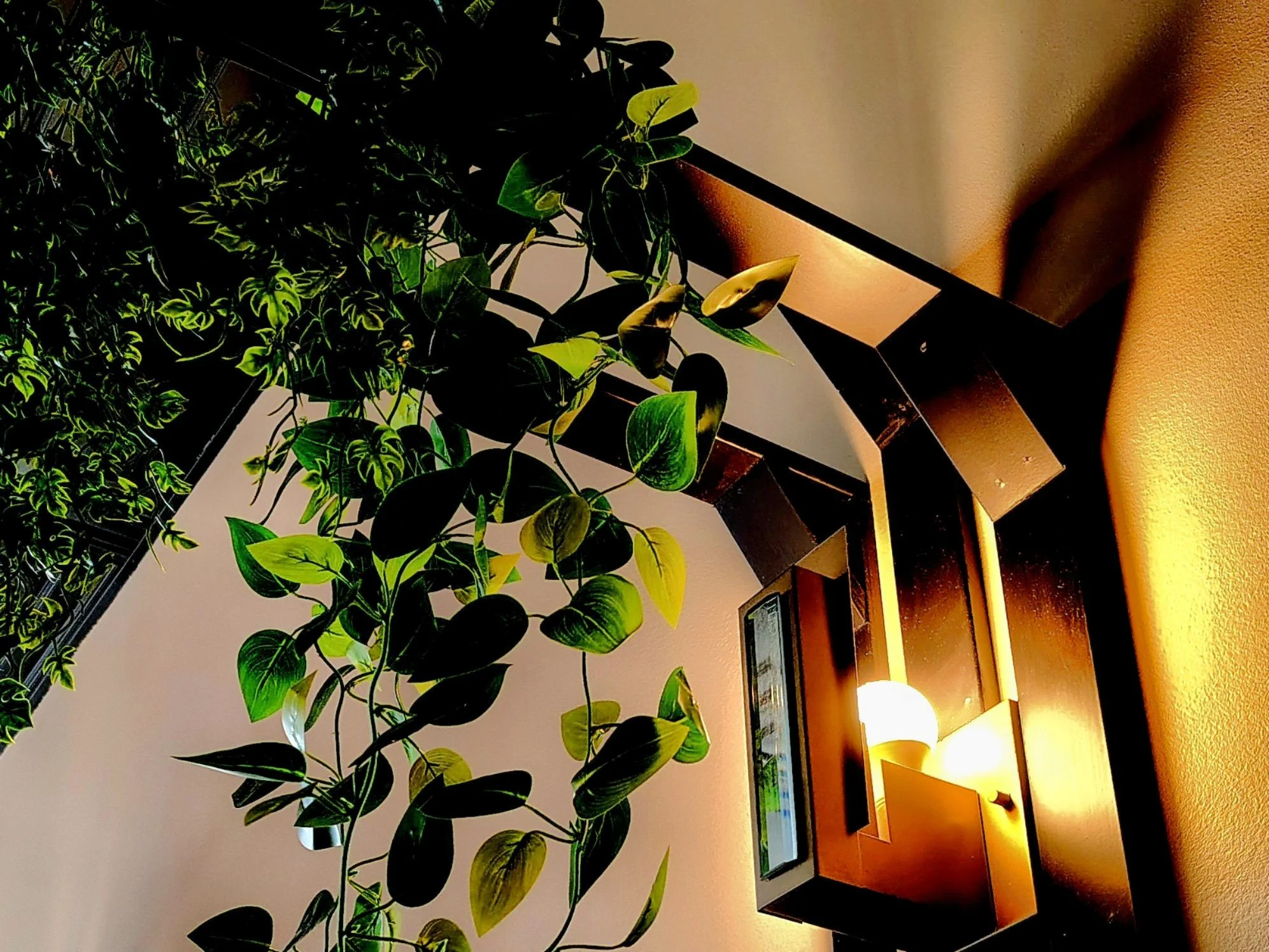 Exposed yet Sheltered