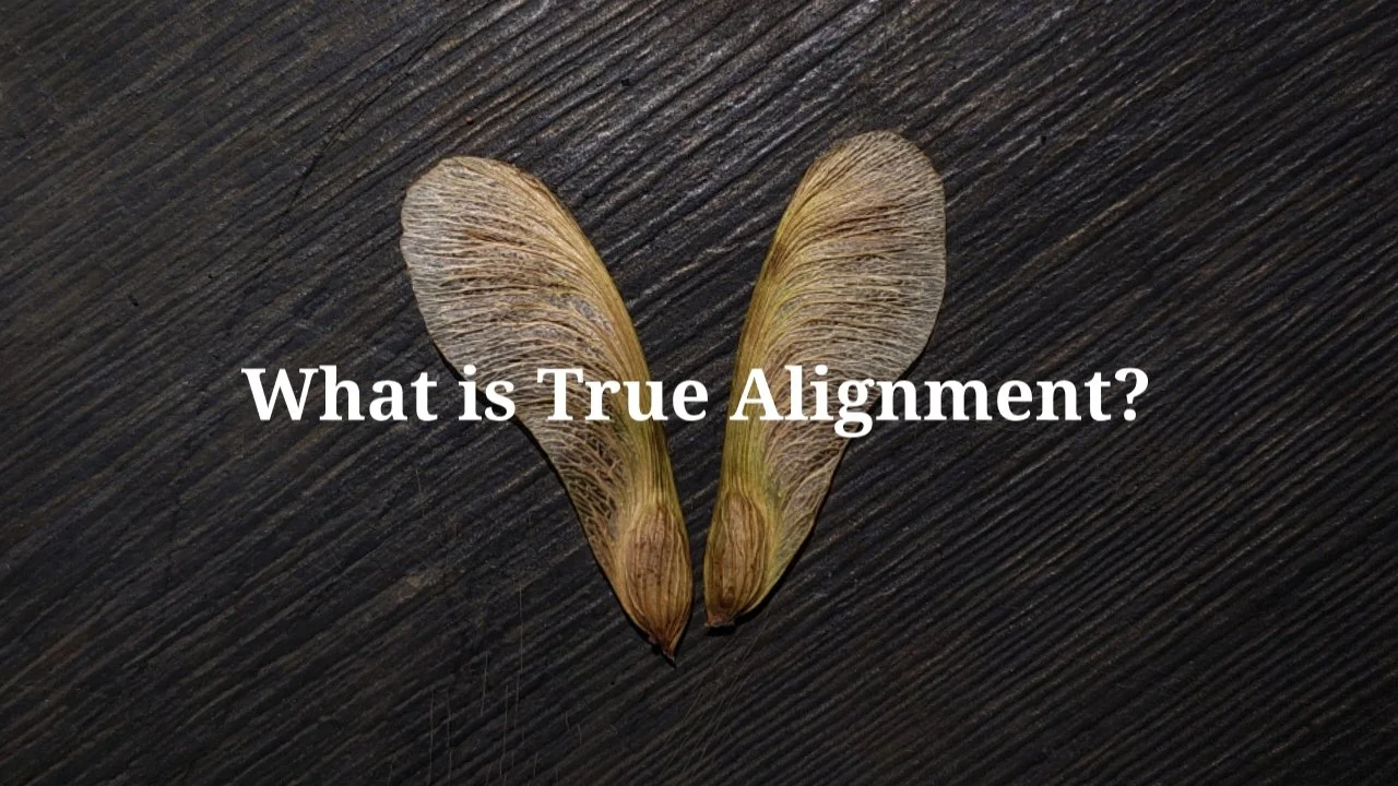 Redefining Alignment