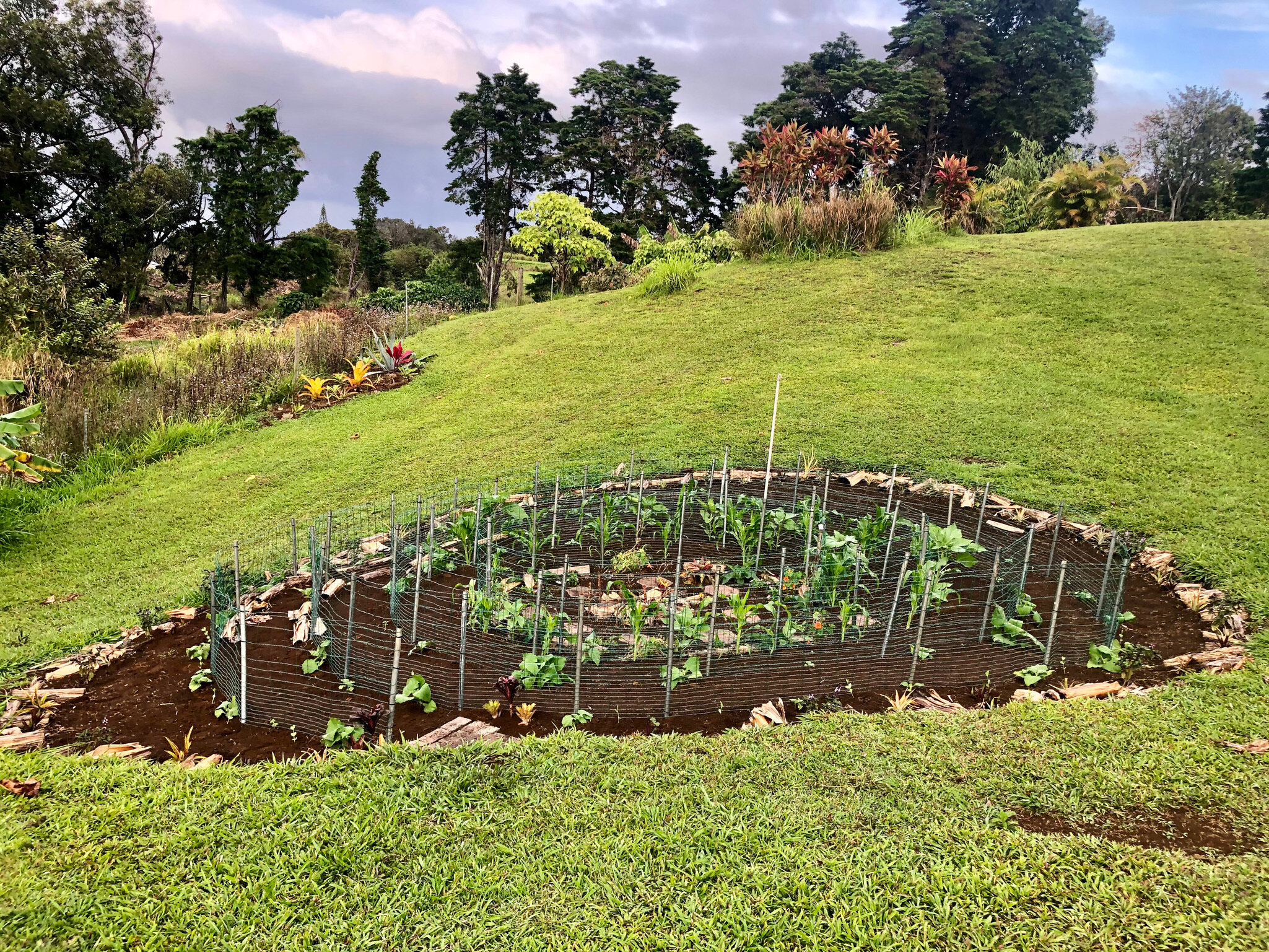 Spiral Pele Labyrinth