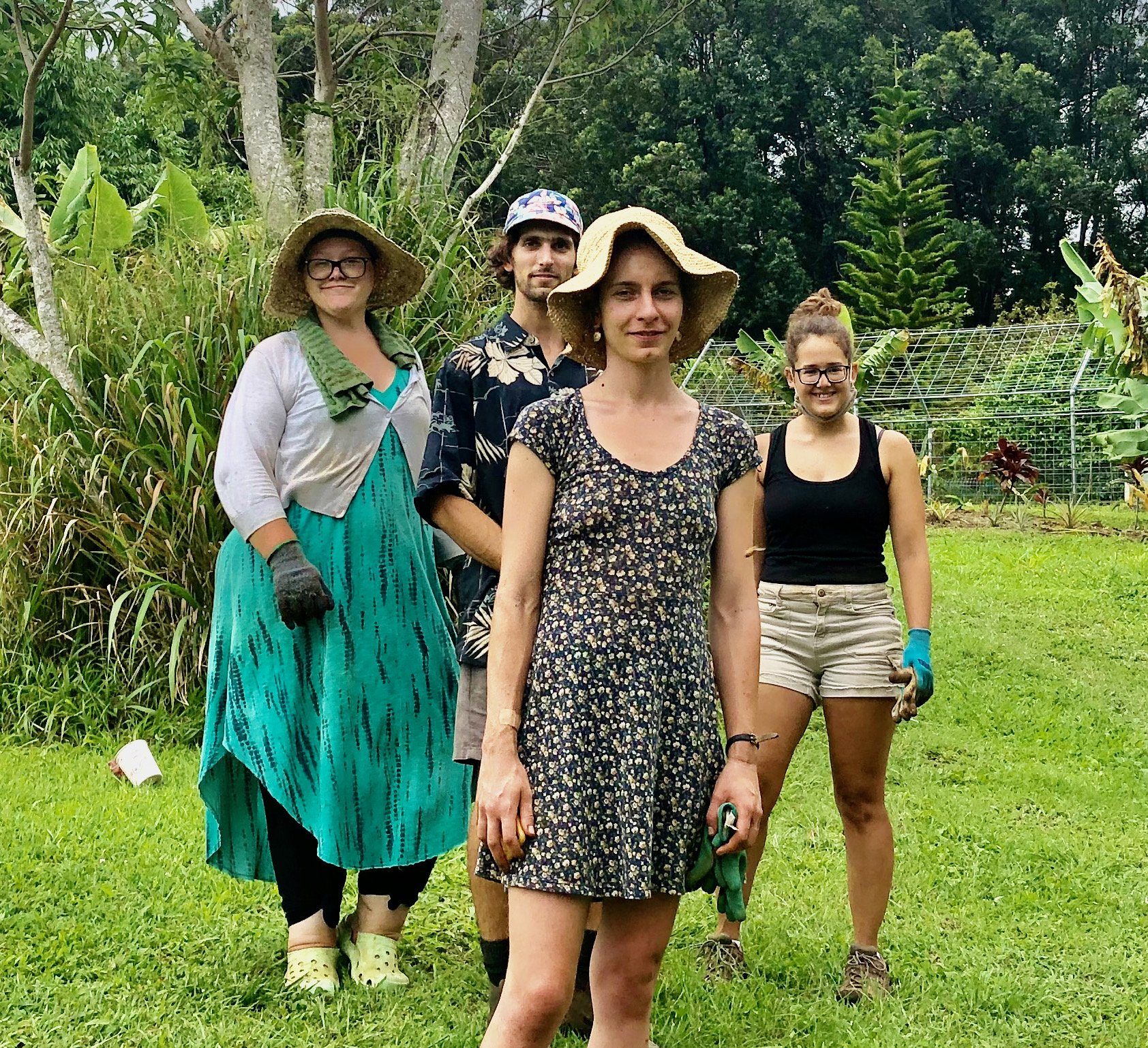 Elizabeth, Oli, Rachel and Yasi watching a bee swarm