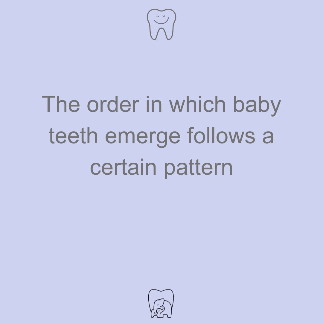 The baby's first milk teeth usually emerge around six months of age🦷 Typically, the lower incisors come in first, followed shortly by the upper ones. Approximately a year later, the canines and first molars start to appear, and by the age of two to 