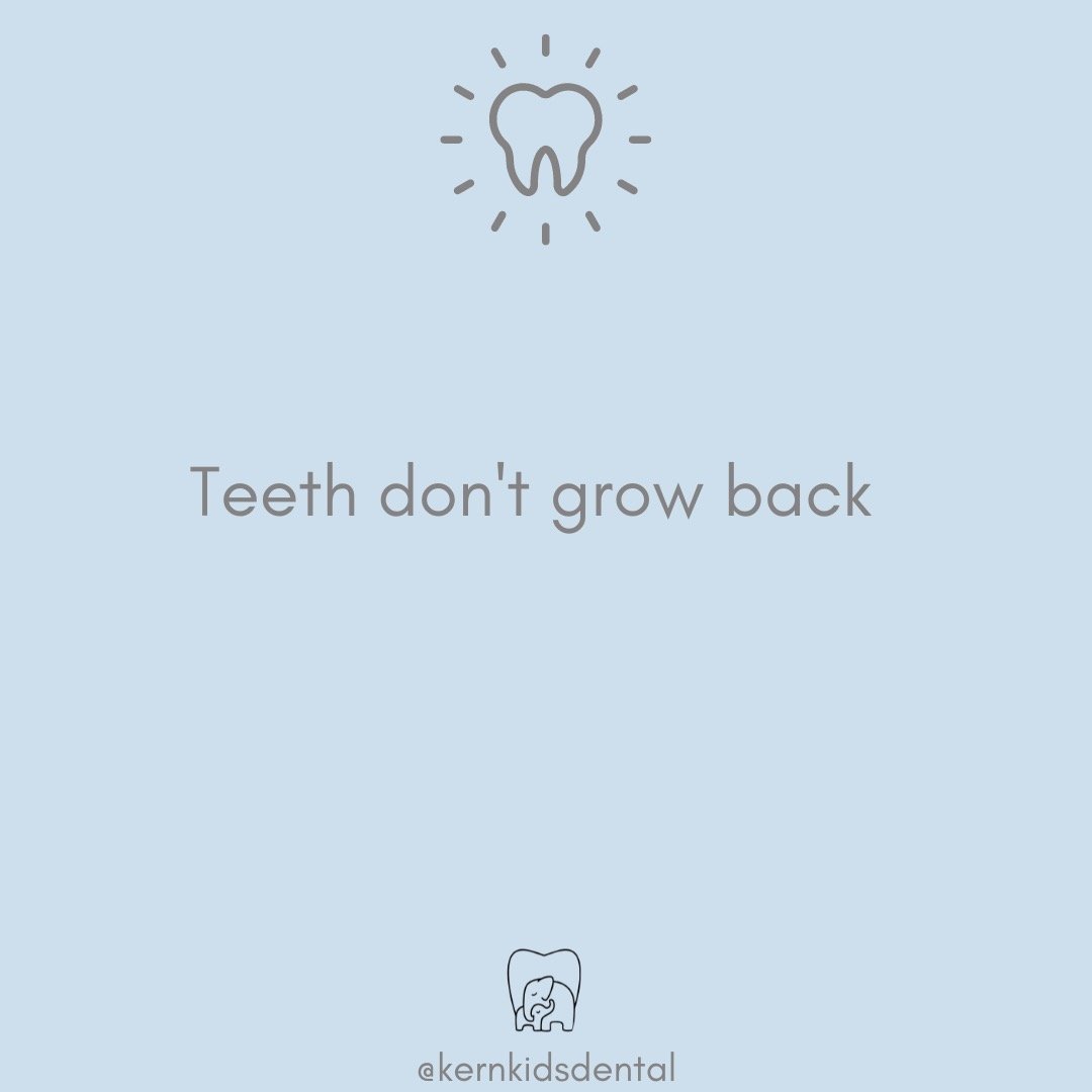 Baby teeth act as temporary placeholders. By the age of 6, these primary teeth naturally fall out, making room for permanent teeth🦷 It&rsquo;s essential to remember that this process of tooth replacement is limited. Before engaging in strenuous acti