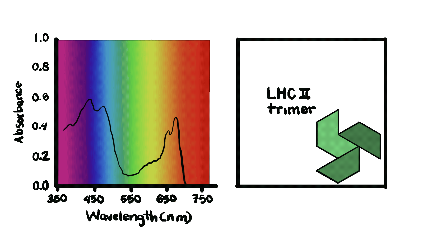 Scale dependent absorption data