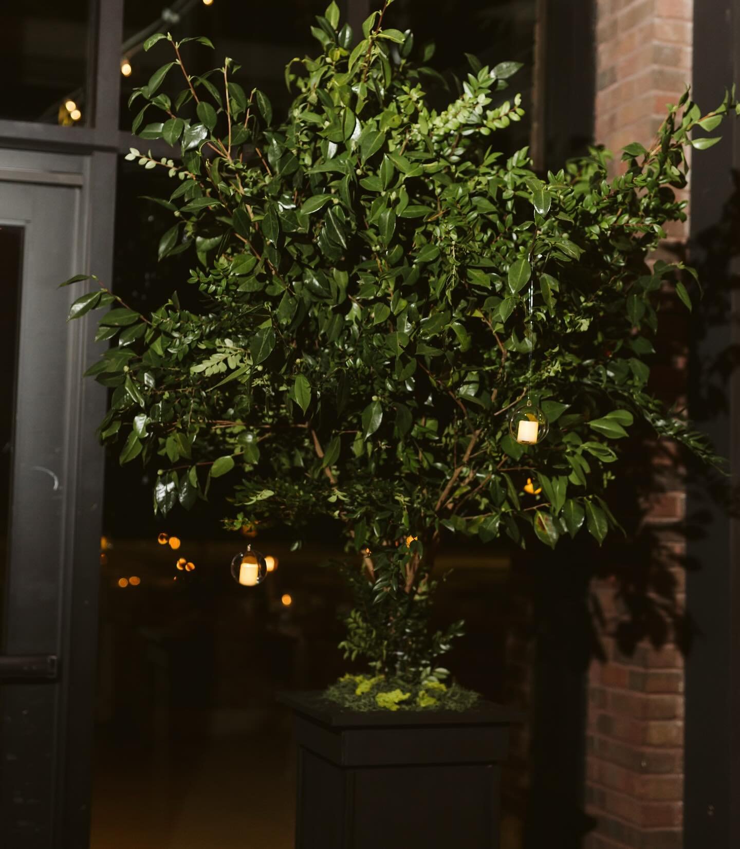 A moment for the trees - loved building these statement pieces for Megan and Tommy&rsquo;s greenery focused reception