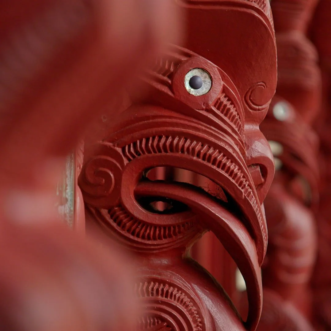 On assignment in the far north, Te Tai Tokerau, this week. With over 3,000 kilometers of coastline, the immense Kauri forests, and its rich cultural history, it's fair to say Te Tai Tokerau is a cinematographer's dream.