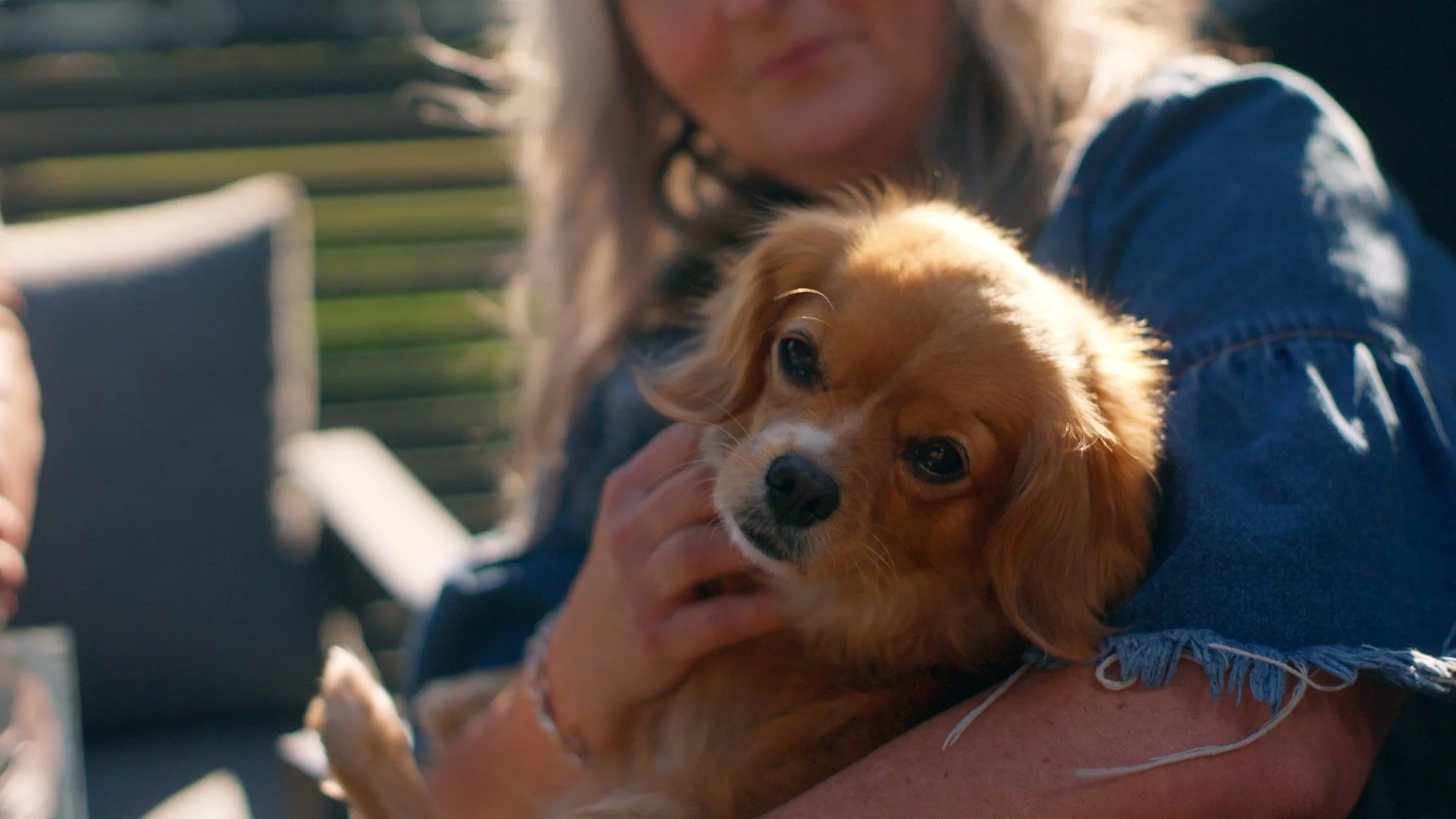 @gjgardnerhomesnz are the best builders in the country BUT...
the dog stole the show on this one. 🤩🤩🤩
🎥 Guardian Films NZ