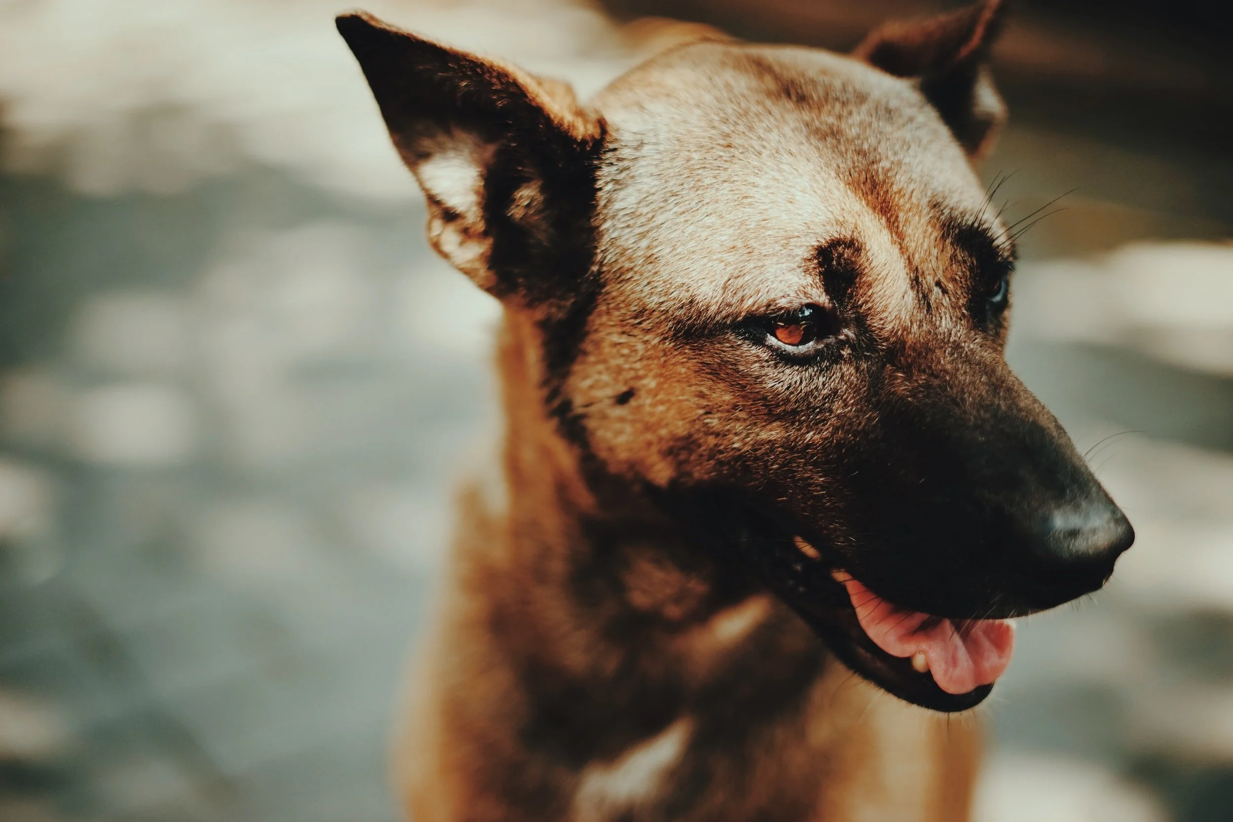 unsplash-image-S3UPmkqmfcA.jpg