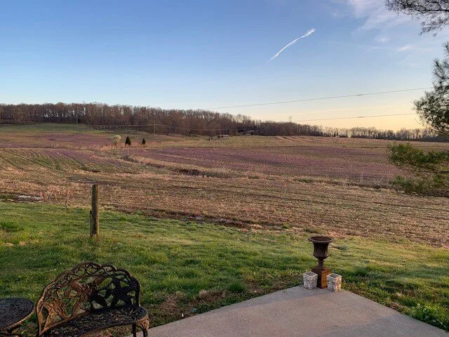 porch view.jpg