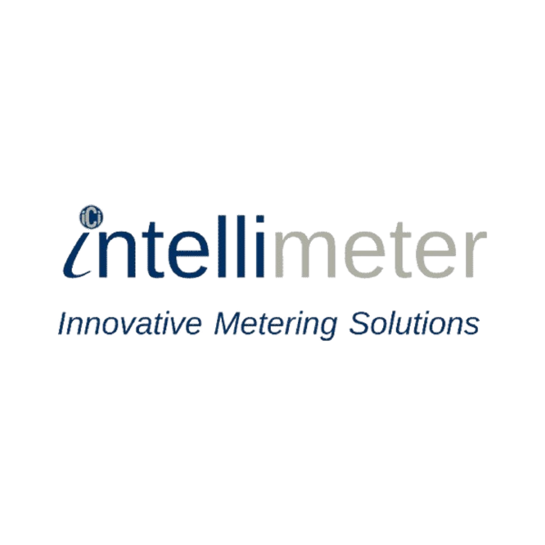 Intellimeter Canada Inc. Innovative Metering Systems Logo