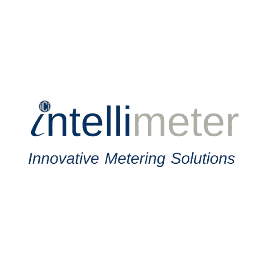 Intellimeter offers a comprehensive line of sub-metering systems to provide detailed, real-time information on Electricity, Water, Gas, and Thermal Energy consumption. 